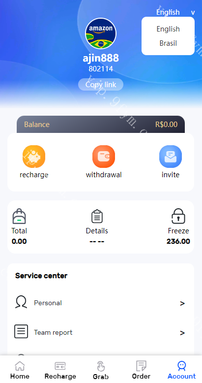 新版UI多语言亚马逊抢单刷单系统/订单自动匹配系统