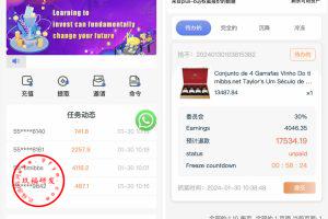 【独家发布】中英双语言海外任务刷单投资理财源码/叠加分组模式+代理分销/前端vue编译后代码开源