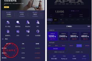 【独家发布】APEX多语言外汇微盘微交易所源码/单控点控+代理分销+K线完好/前端html后端PHP代码开源